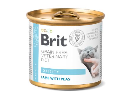 BRIT GF VD Cat Obesity,za smanjenje prekomjerne tjelesne mase,konz.200g Cheap