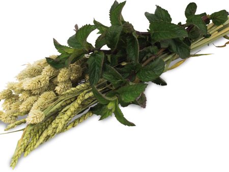 JR FARM Herb Harvest, poslastica za patuljaste kuniće i glodavce, 80g For Sale