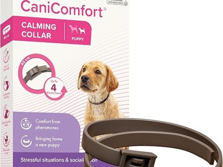 Beaphar - Canicomfort Calming Collar - Puppy Online now