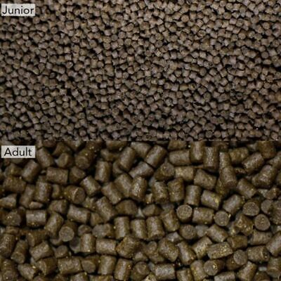 NT Labs - Pro f Axolotl Pellet Food - Junior - 60g Fashion