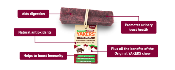 Yakers - Superfood Dog Chew - Cranberry - Medium Online