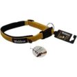 Webbox - Dog Collar - Gold - Medium (42-49cm) Online Sale