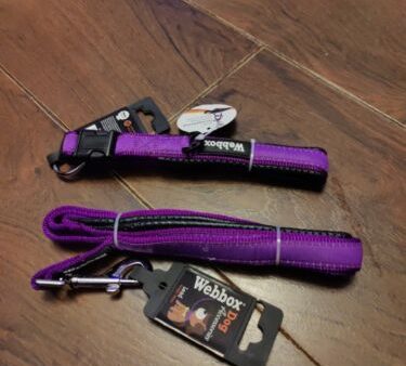 Webbox - Nylon Dog Collar - Purple - Medium Online Sale