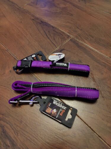 Webbox - Nylon Dog Collar - Purple - Medium Online Sale