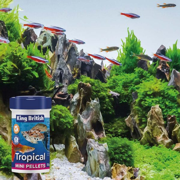 King British - Tropical Mini Pellets - 55g Fashion