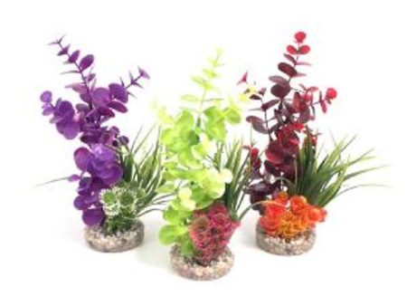 Rosewood - Sydeco Coloured Plants - Bouquet - 22cm Supply