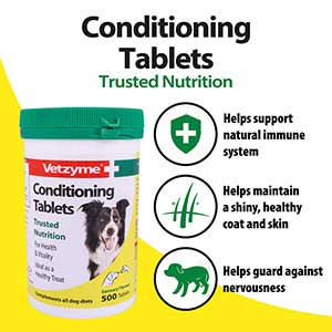 Vetzyme - Conditioning Suppliment for Dogs - 100 Tablets Fashion