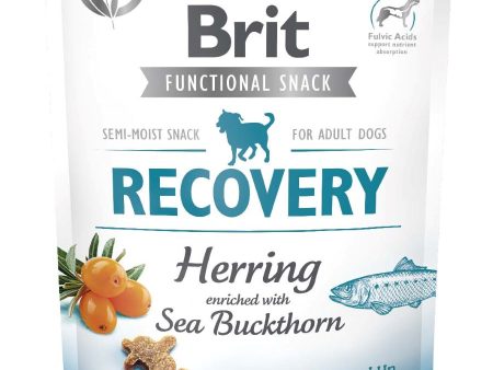 BRIT Functional Snack Recovery, haringa, obogaćeno pasjim trnom, 150 g Cheap